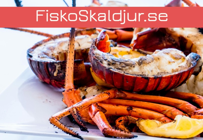 fiskoskaldjur bild