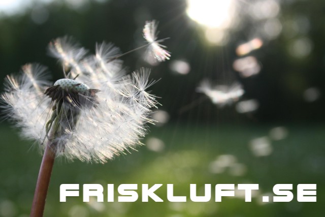 friskluft bild