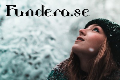 fundera.se - preview image