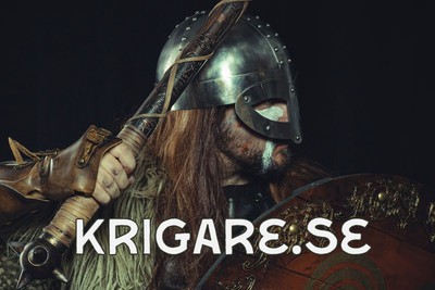 krigare.se - preview image