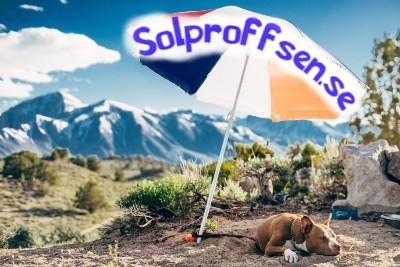 solproffsen.se - preview image