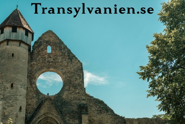 transylvanien.se - preview image