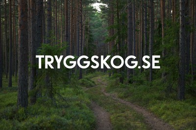 tryggskog.se - preview image