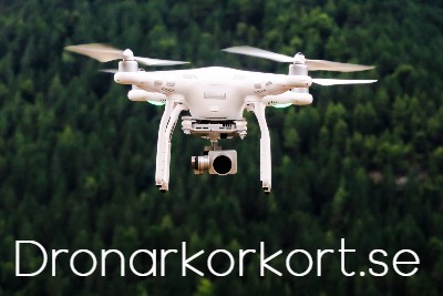 dronarkorkort bild