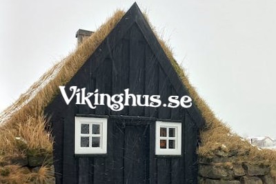 vikinghus bild
